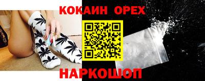 крисы Керчь