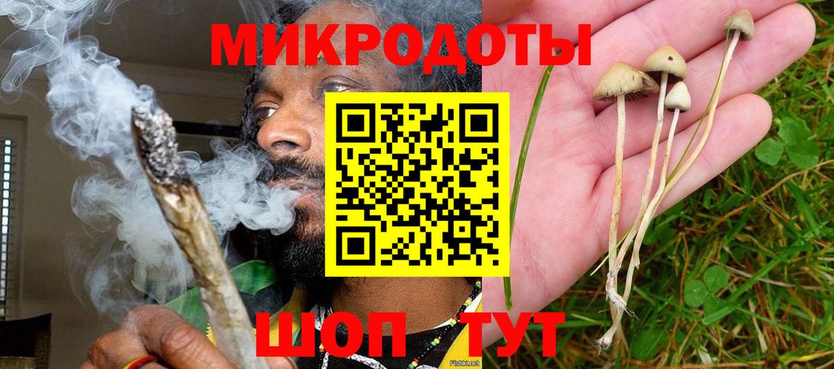 Псилоцибиновые грибы GOLDEN TEACHER  Вход с VPN  Черняховск  Псилоцибиновые грибы Psilocybine cubensis 